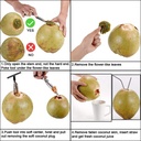 Coconut Hole Opener