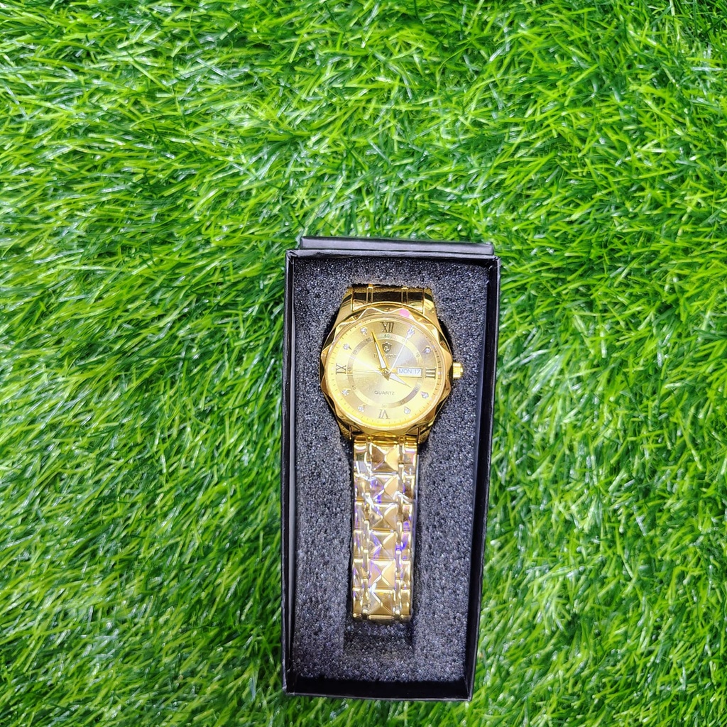 BINBOND 2521 Luxury Brand Luminous Quartz Watch For Men (full golden)